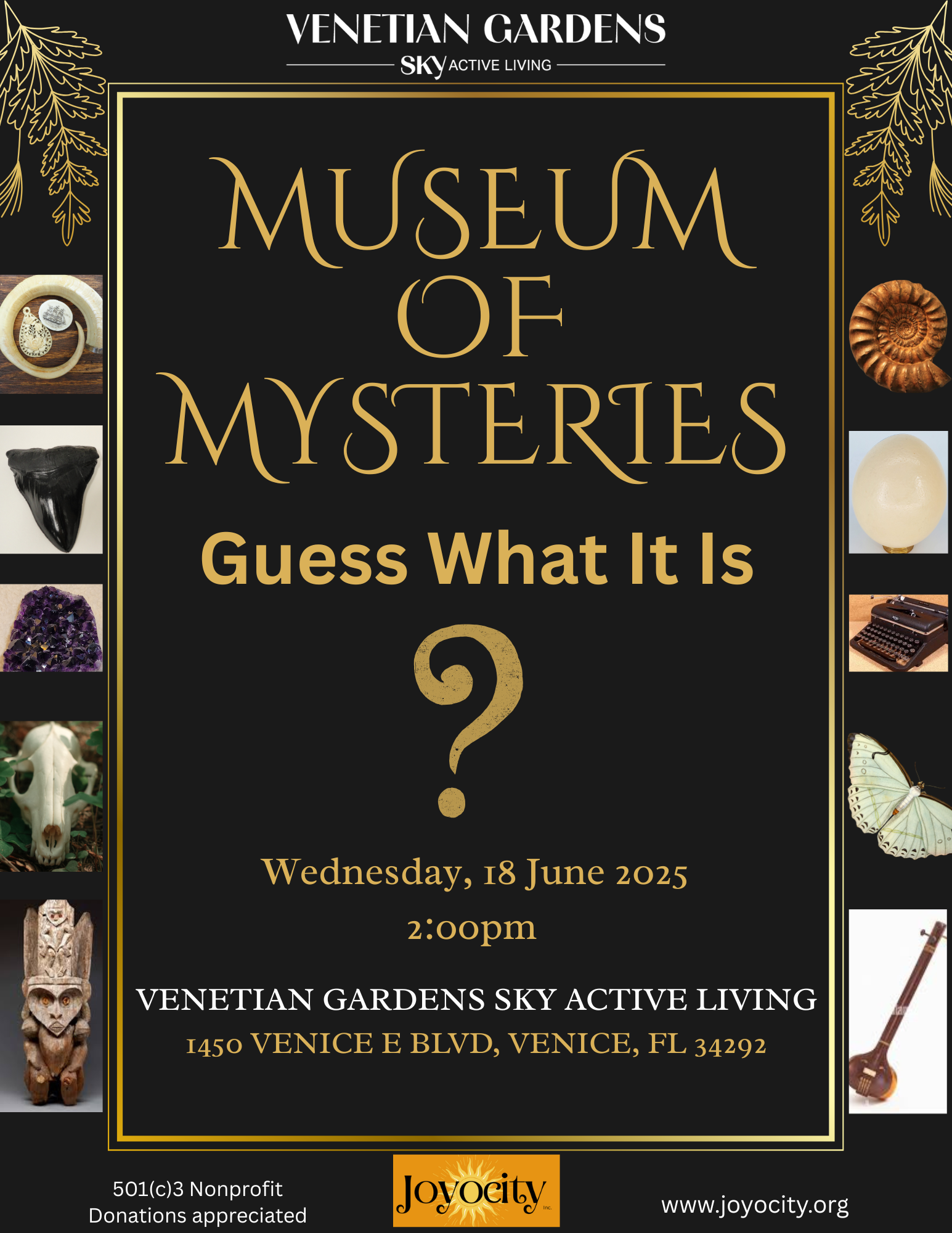 Museum of Mysteries! Guess What 'it' is.